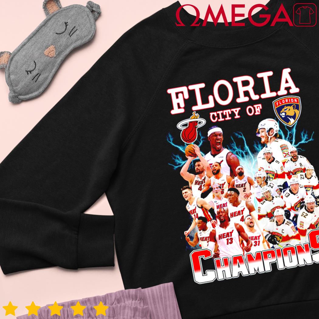 Floria City Of Champions Heat And Panthers T-Shirt, hoodie